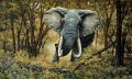 Elefanten verspotten